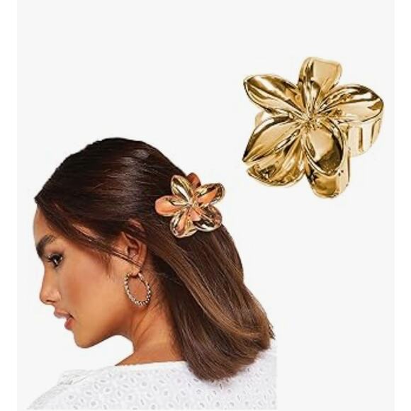 Hair Clips - 4 set - Picture 1 of 2